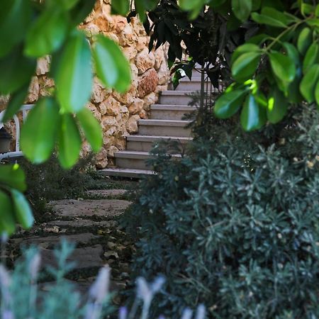 קאמי מלון בוטיק Safed Exteriér fotografie